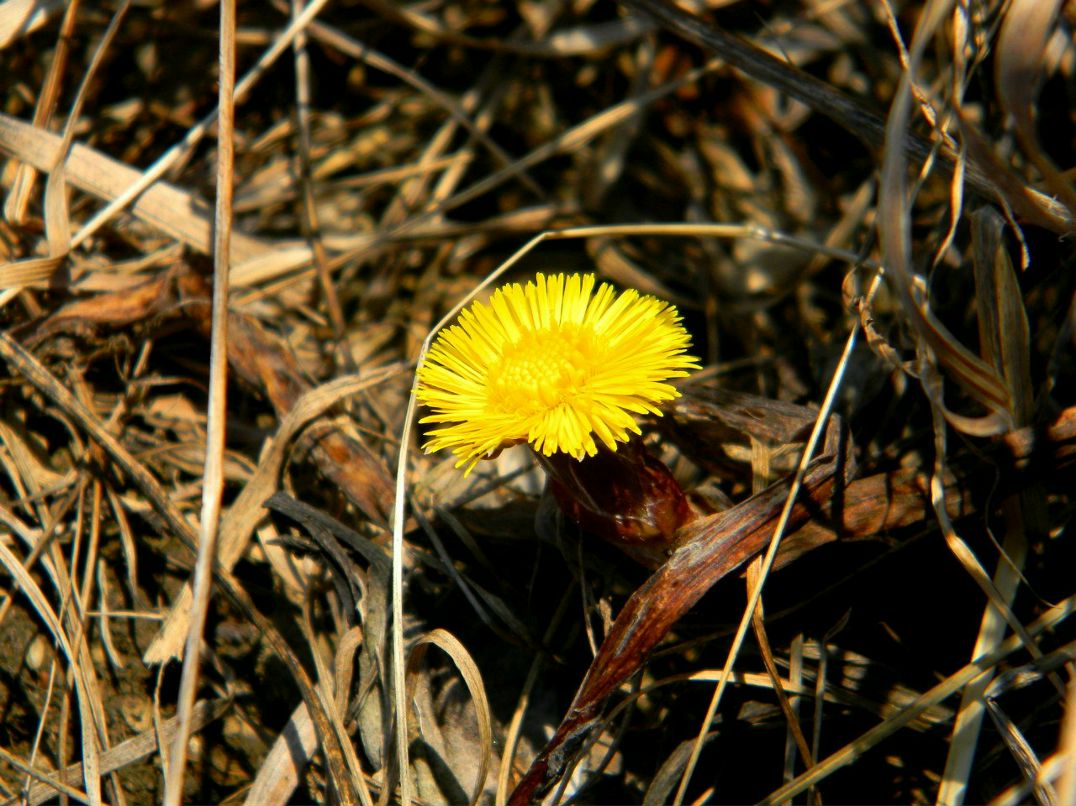 Ірина Гірка | Киев
