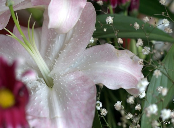 №13, Валерий Касяк, 75 лет, Самара №13, Валерий Касяк, 75 лет, Самара