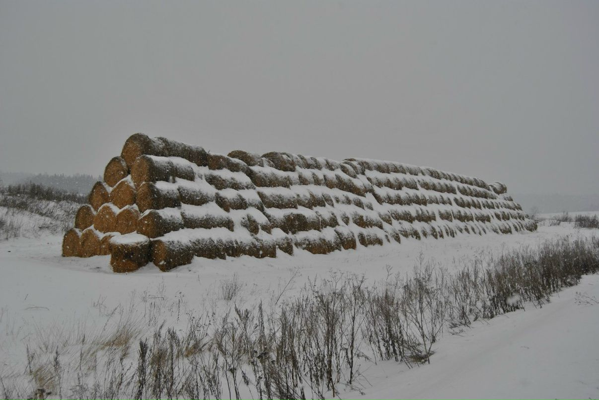 Владимир Казаков | Пермь