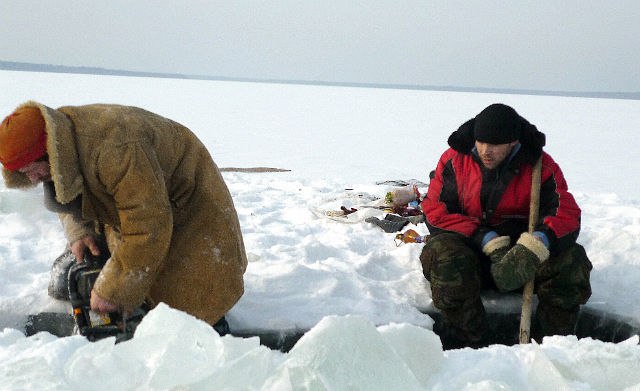 Игорь Писарев | Новосибирск