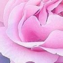 №96, Полина Долгих, 35 лет №96, Полина Долгих, 35 лет