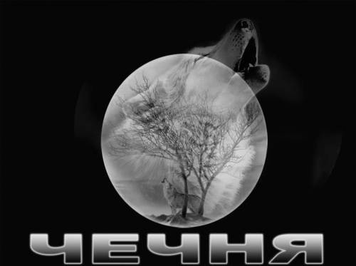 №86, Али Борзоев, Уфа, Россия №86, Али Борзоев, Уфа, Россия