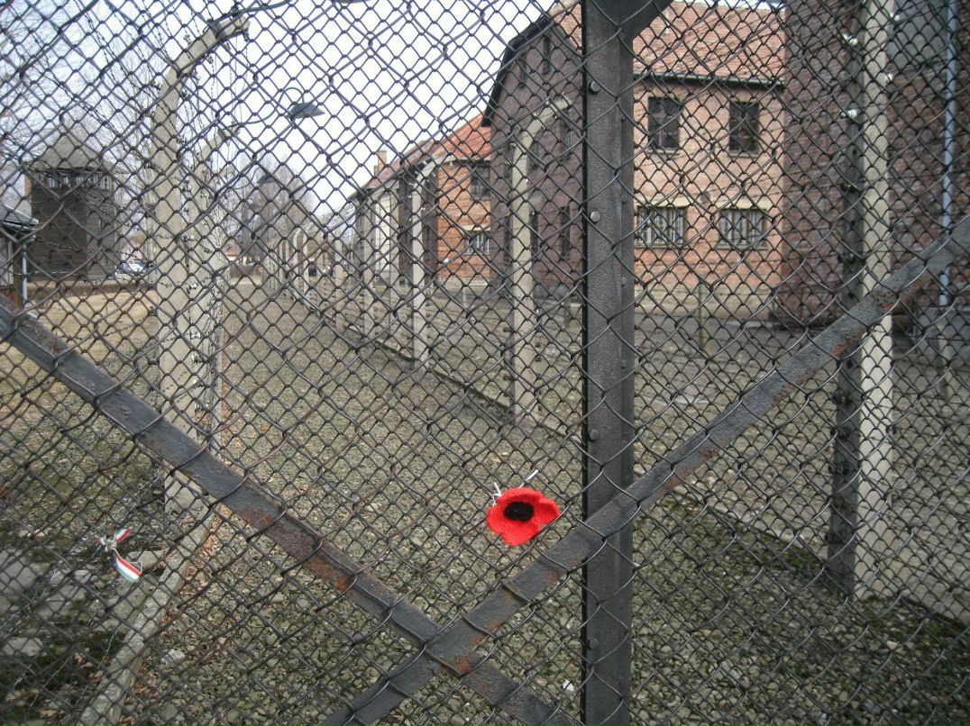 Виталий Icid | 