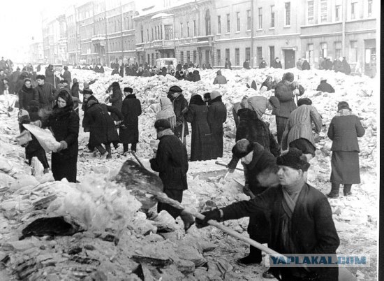 Александр Матвеев | Санкт-Петербург