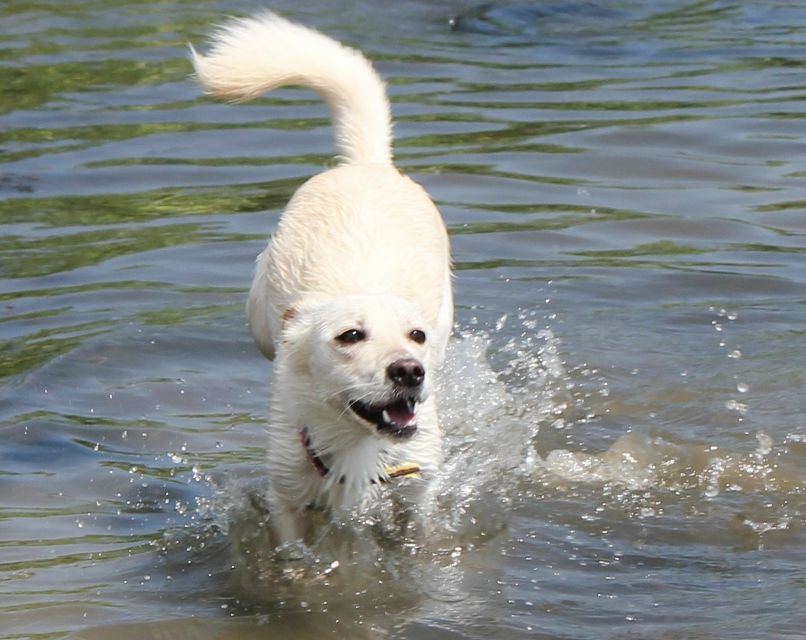 Алина Тягунова 月野 うさ | Курган