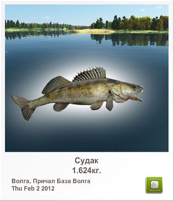 Юра Марков | Севастополь