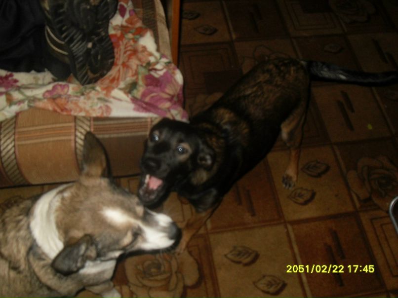 Екатерина Кузьмина | Санкт-Петербург