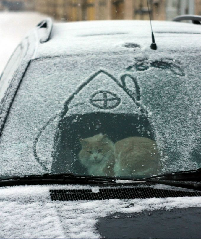 Ярослав Яготин | Тернополь