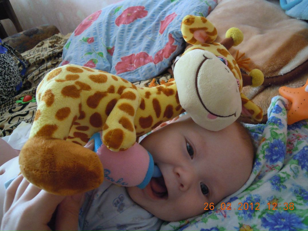 Денис Братенков | Сыктывкар