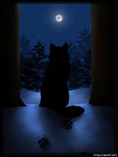 Максим Петров | Самара