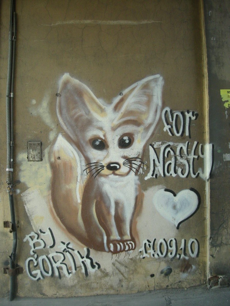 Ася Грин ~Глупая лисица УлиФ~ | Санкт-Петербург