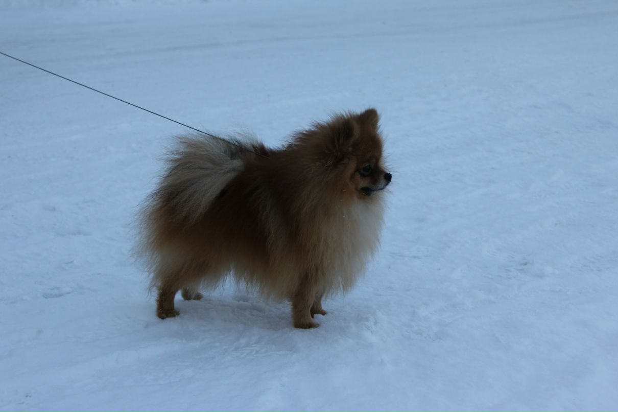 Света Шолохова | Санкт-Петербург