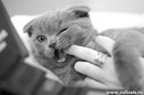 Фотография Конновой Марии