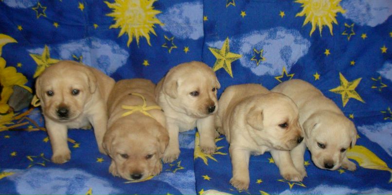 Валентина Битюк | Астрахань