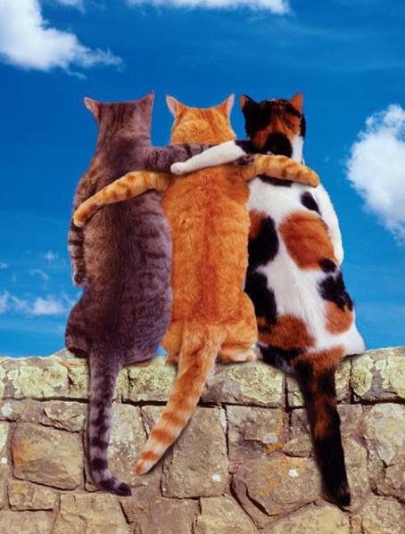 Лариса Новикова | Москва