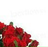 №34 Людмила Кулинковская 22.01.1990: профиль, фото, статус - ВКонтакте