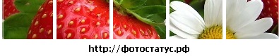 №170, Галя Полтавец, 37 лет, Калининград №170, Галя Полтавец, 37 лет, Калининград