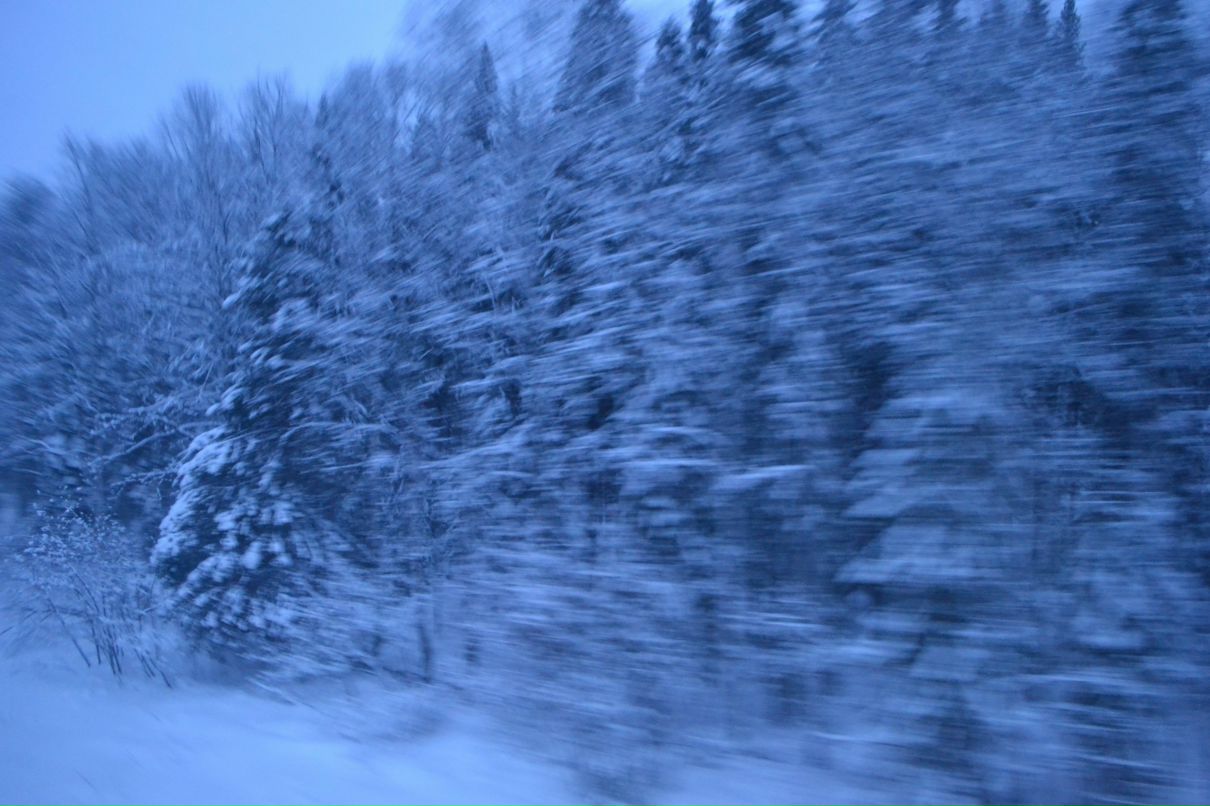 Павел Орлов | 