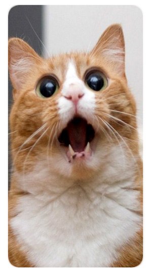 Асакато Максутов [Asa] | Атырау