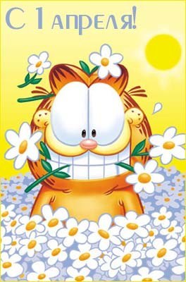 Елена Овсиенко-Бибик | Чернигов