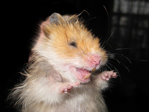 Александр Качан Юрьевич | Пинск