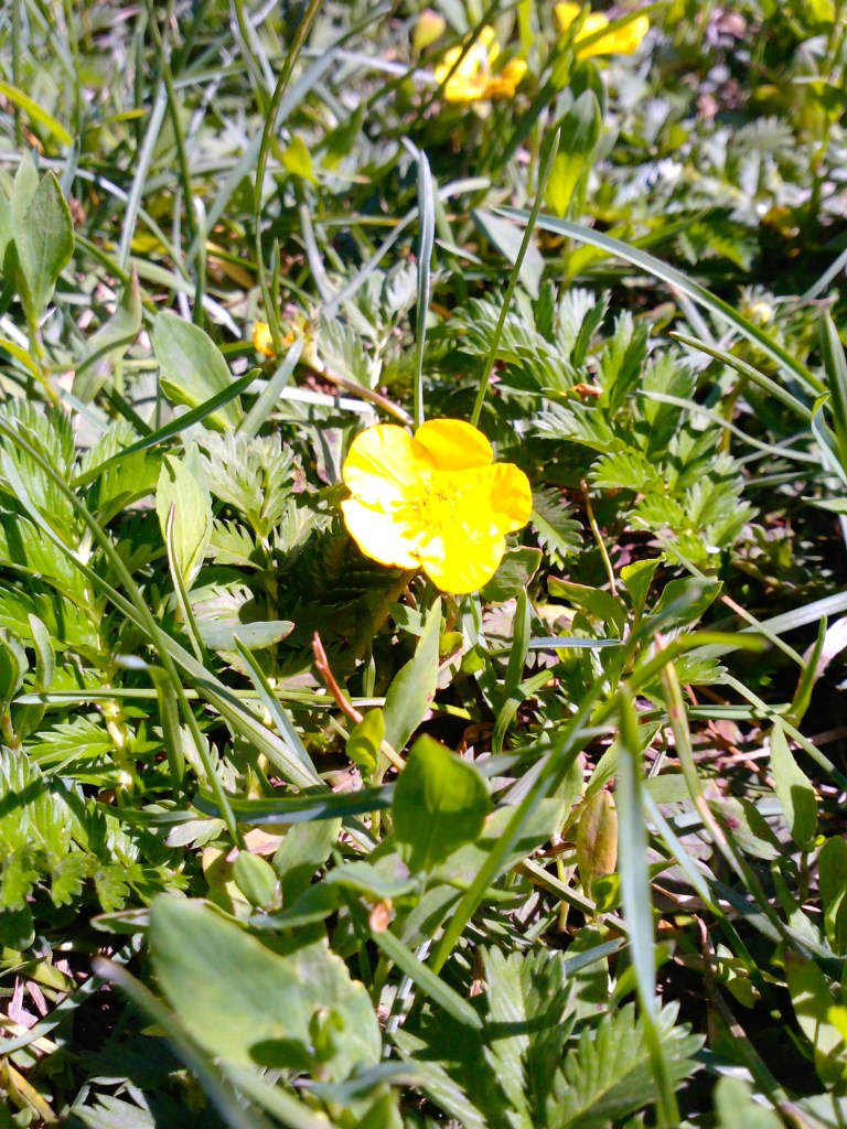 Радис Гараев | Уфа