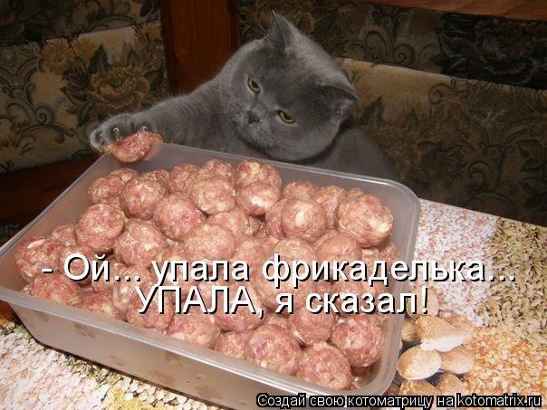 Костя Лотта Blazer | Днепр (Днепропетровск)