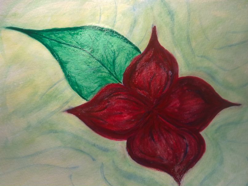 Арина Мухина | Новосибирск