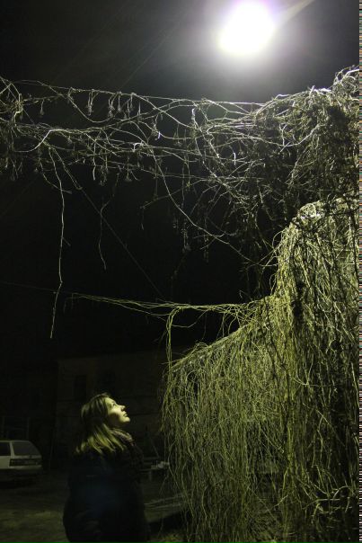 №37, Полина Ланца, Москва №37, Полина Ланца, Москва