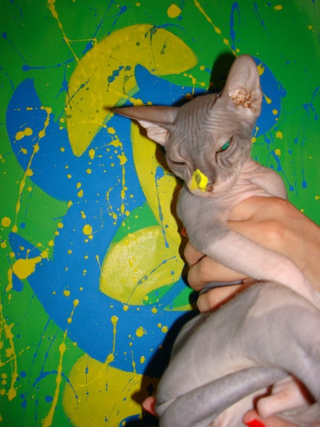 №106, Александр Белошниченко, 44 года, Комсомольск-на-Амуре №106, Александр Белошниченко, 44 года, Комсомольск-на-Амуре