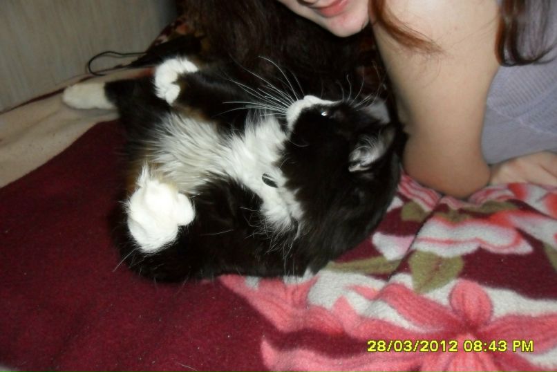 Александра Смирнова | Санкт-Петербург