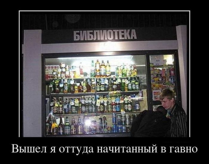 Алкаш Редкий медведь | Пярну