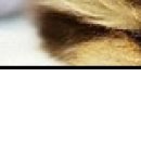 №10, Илья Бочков, Саратов №10, Илья Бочков, Саратов