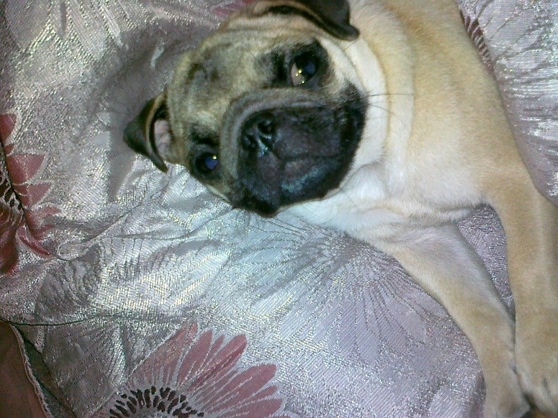 Алёна Пасечник | Одесса