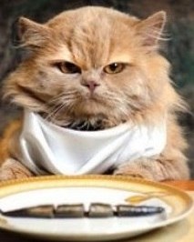 Геннадий Задорожнюк | Киев