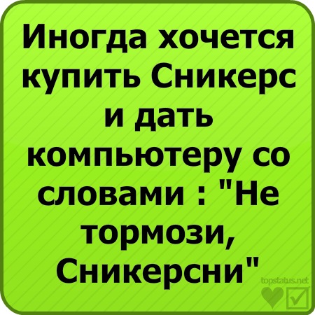 №12, Николай Блохин №12, Николай Блохин