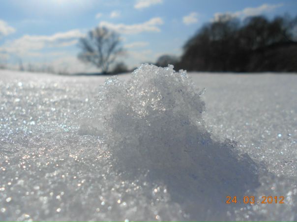 №62, Елена Бахнова, Балабаново №62, Елена Бахнова, Балабаново