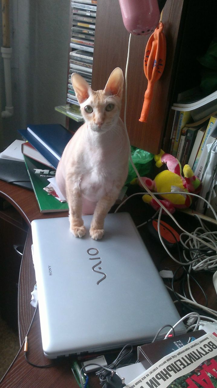 Любовь Федосеева | Москва