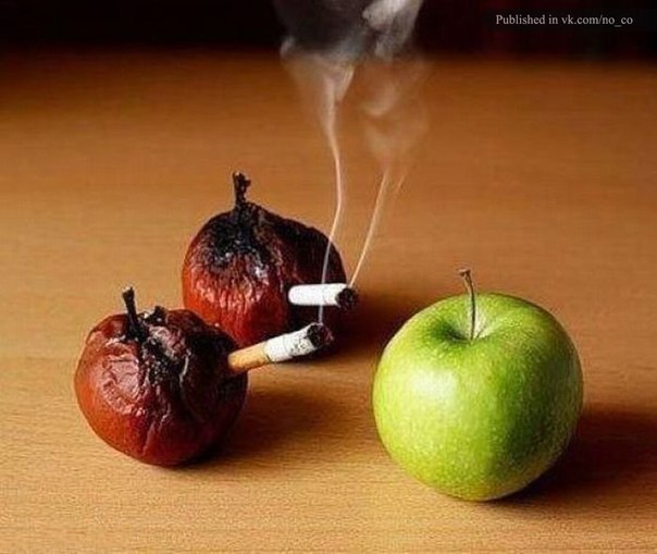 Георгий Мирошниченко | Ростов-на-Дону