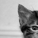 №33, Віталік Токарчук, 32 года №33, Віталік Токарчук, 32 года