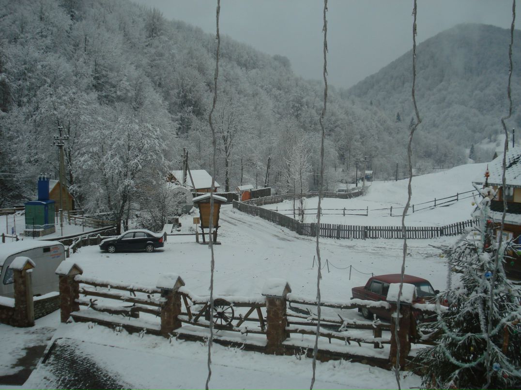 Игорь Лисниченко | Washington, D.C.