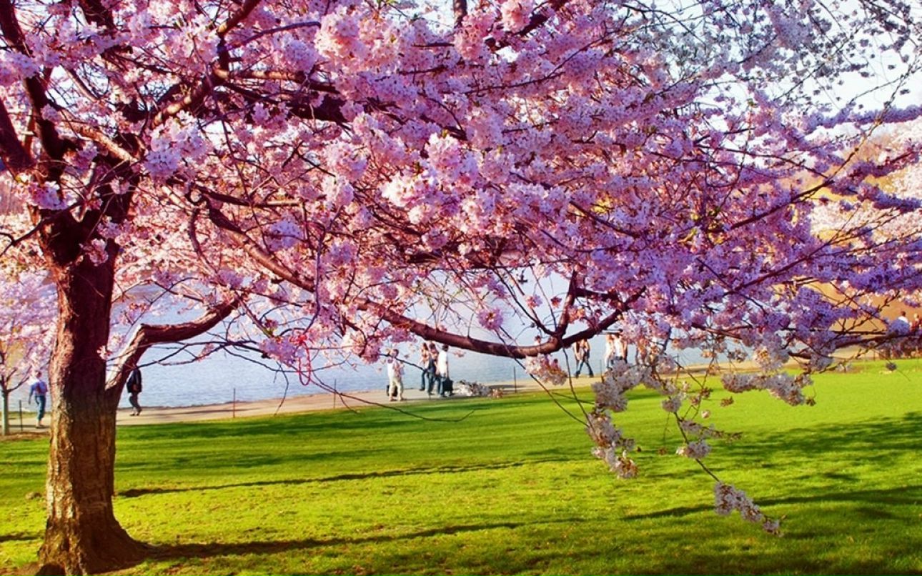 Людмила Матюнина | Санкт-Петербург