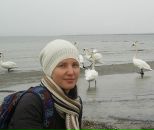 №31 Алёна Новикова : профиль, фото, статус - ВКонтакте