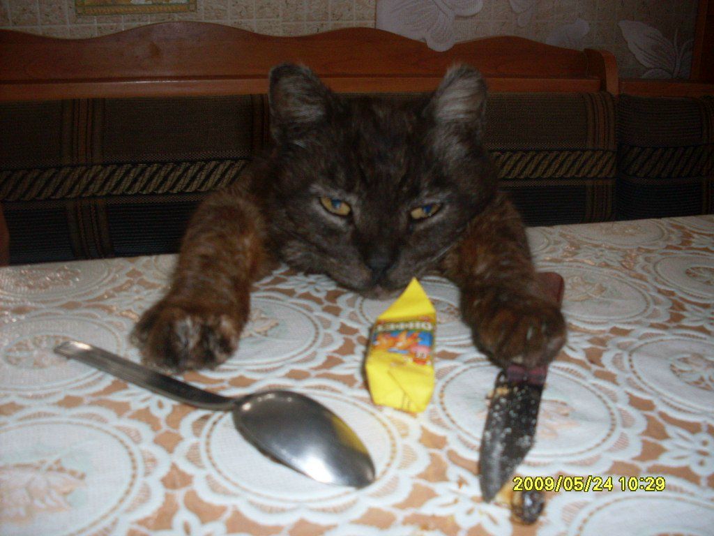 Владислав Недосекин | Алматы