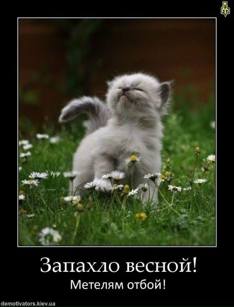 №54, Надежда Маркина, Санкт-Петербург №54, Надежда Маркина, Санкт-Петербург