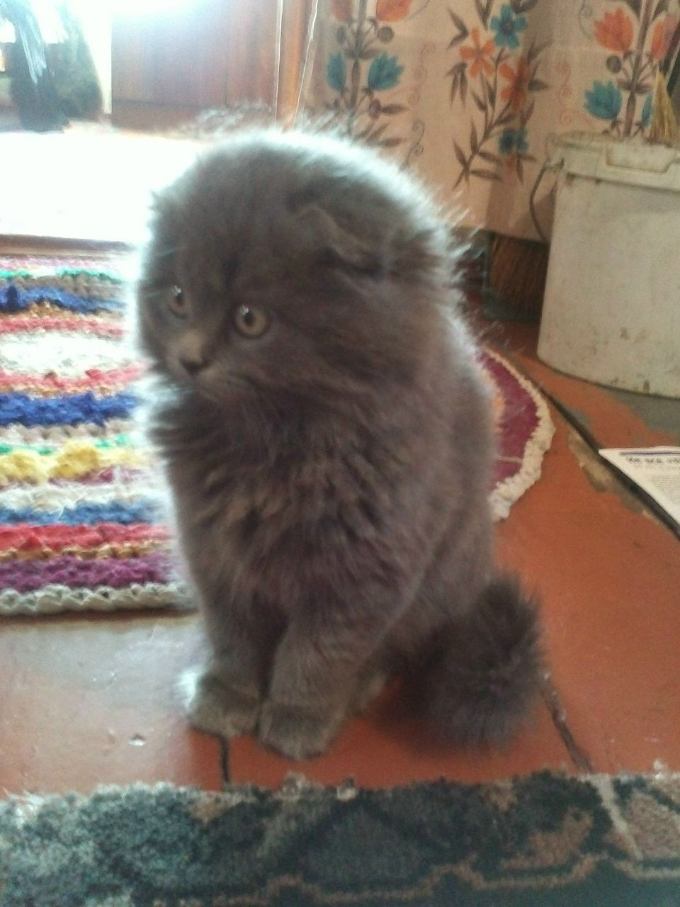 Инна Кисличка | Киев