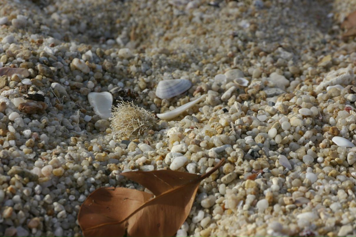 Татьяна Юрова | Новосибирск