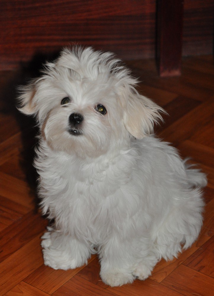 Марина Лазарева | Москва