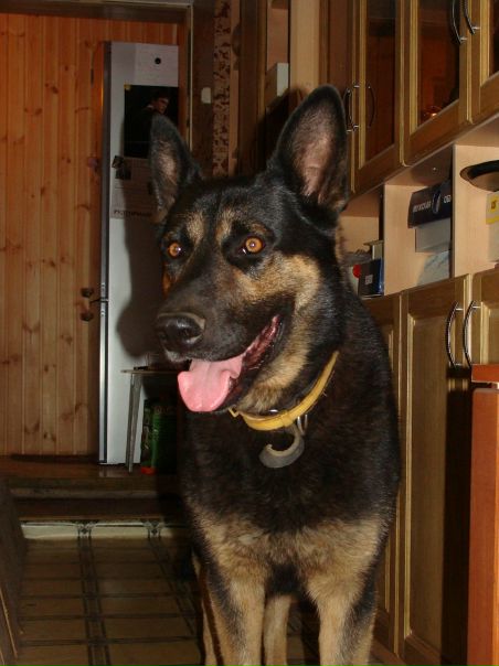 №4, Станислав Яковлев, Воронеж №4, Станислав Яковлев, Воронеж