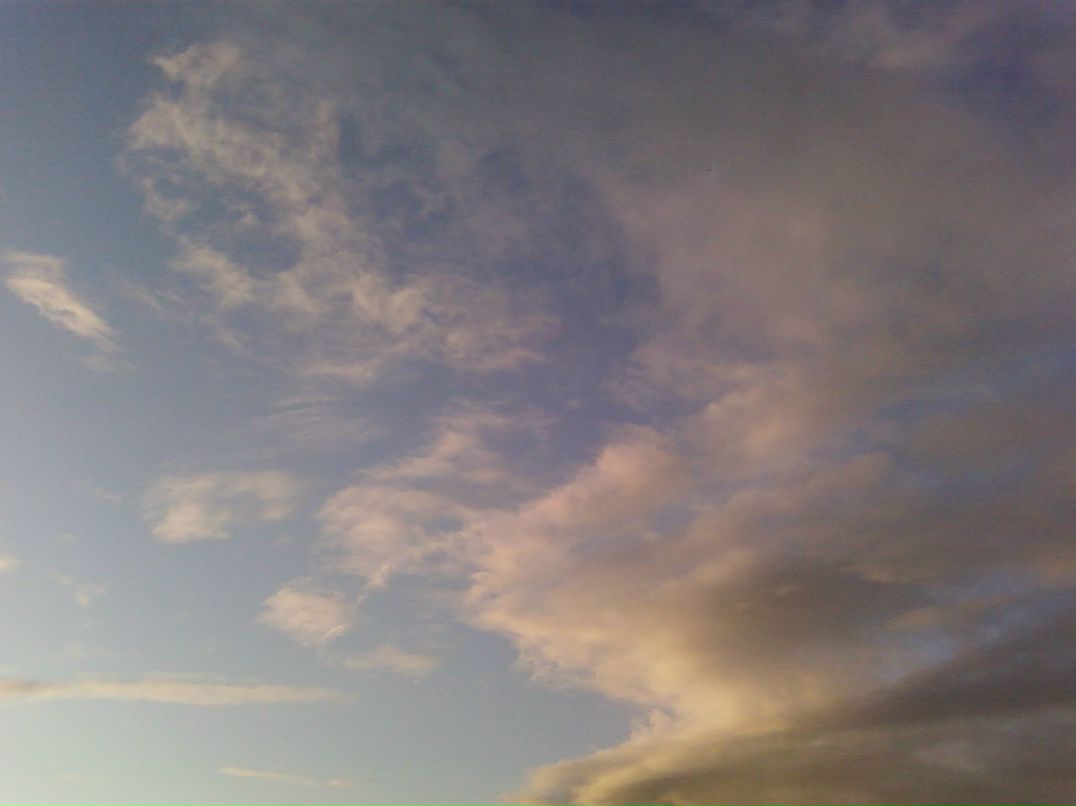 Андрей Тарасов | Ясная Поляна